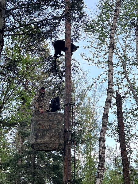 Added Company on the tree stand